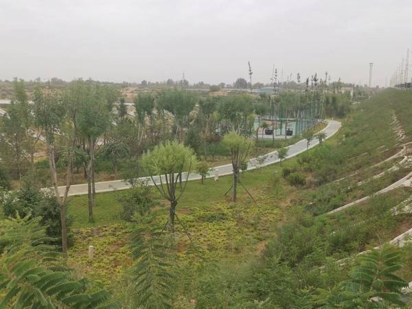 陜煤建設銅煤公司第八項目部承建的靖神鐵路站區景觀綠化工程順利通過竣工驗收