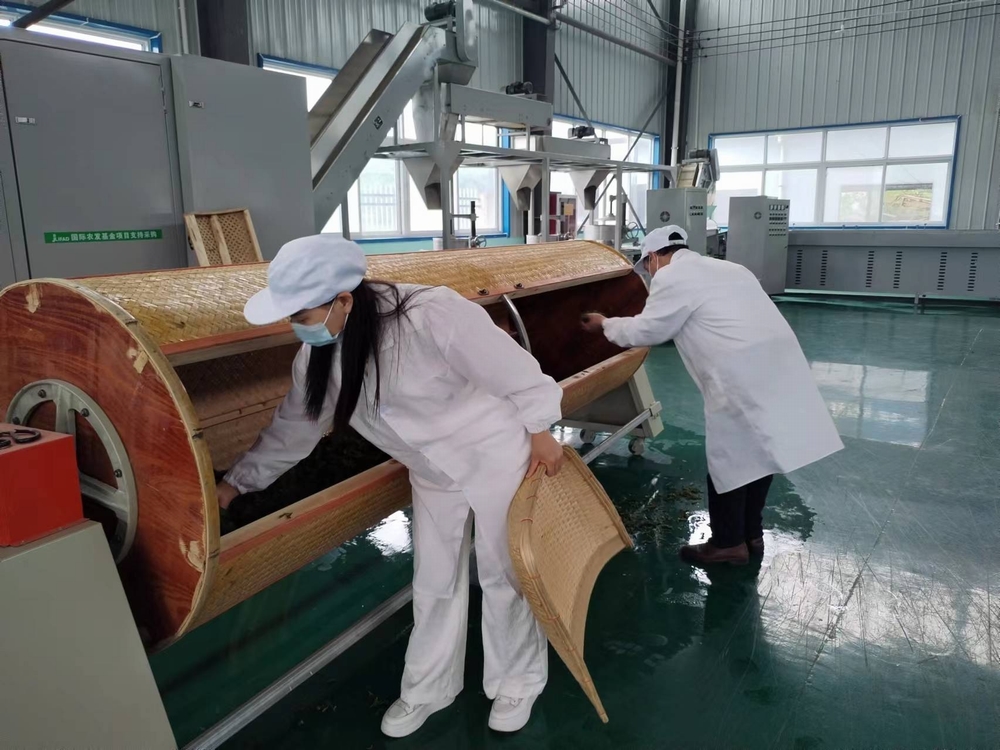 陜煤建設(shè)定點(diǎn)幫扶村:“天池大碗茶”促進(jìn)產(chǎn)業(yè)發(fā)展正循環(huán) 陜煤建設(shè)定點(diǎn)幫扶村:“天池大碗茶”促進(jìn)產(chǎn)業(yè)發(fā)展正循環(huán)